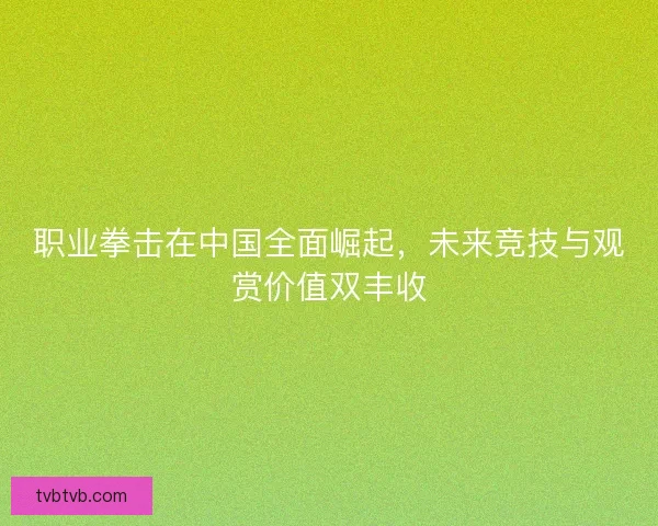 职业拳击在中国全面崛起，未来竞技与观赏价值双丰收