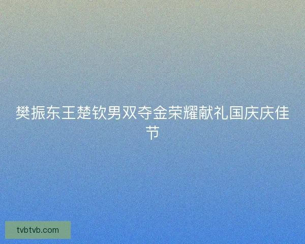 樊振东王楚钦男双夺金荣耀献礼国庆庆佳节