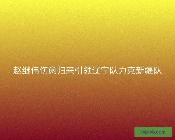 赵继伟伤愈归来引领辽宁队力克新疆队
