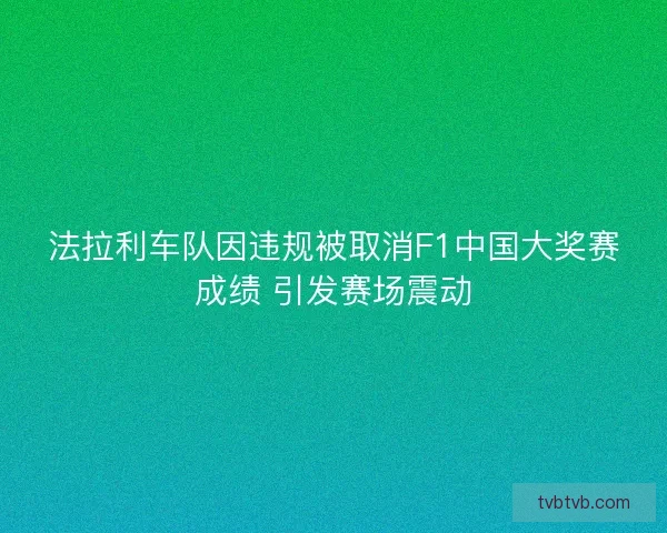 法拉利车队因违规被取消F1中国大奖赛成绩 引发赛场震动