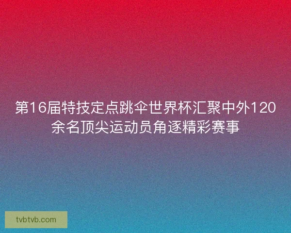 第16届特技定点跳伞世界杯汇聚中外120余名顶尖运动员角逐精彩赛事